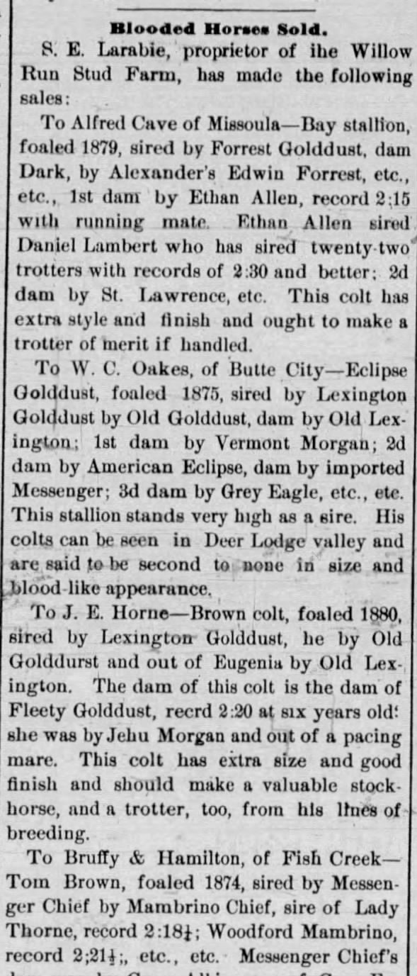 Bruffy. G. 1882. Fish Creek. Hamilton. Horse breeders.